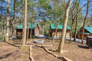 Lake House Paw-fect Getaway for You and Your Furry Friend! Cozy Gatlinburg Cabin for Two, , on West Prong Little Pigeon River - Gatlinburg in Tennessee - Lakehouse Vacation Rental - Lake Home for rent on LakeHouseVacations.com