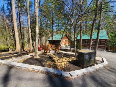Lake House Paw-fect Getaway for You and Your Furry Friend! Cozy Gatlinburg Cabin for Two, , on West Prong Little Pigeon River - Gatlinburg in Tennessee - Lakehouse Vacation Rental - Lake Home for rent on LakeHouseVacations.com