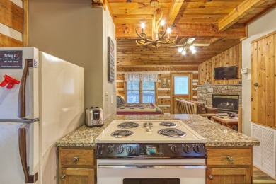 Lake House Paw-fect Getaway for You and Your Furry Friend! Cozy Gatlinburg Cabin for Two, , on West Prong Little Pigeon River - Gatlinburg in Tennessee - Lakehouse Vacation Rental - Lake Home for rent on LakeHouseVacations.com