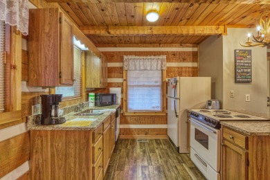 Lake House Paw-fect Getaway for You and Your Furry Friend! Cozy Gatlinburg Cabin for Two, , on West Prong Little Pigeon River - Gatlinburg in Tennessee - Lakehouse Vacation Rental - Lake Home for rent on LakeHouseVacations.com