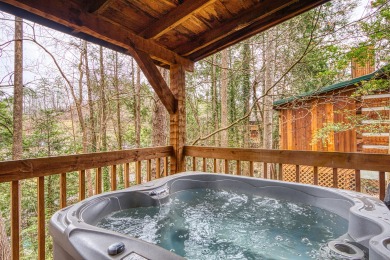 Lake House Paw-fect Getaway for You and Your Furry Friend! Cozy Gatlinburg Cabin for Two, , on West Prong Little Pigeon River - Gatlinburg in Tennessee - Lakehouse Vacation Rental - Lake Home for rent on LakeHouseVacations.com