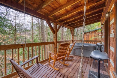Lake House Paw-fect Getaway for You and Your Furry Friend! Cozy Gatlinburg Cabin for Two, , on West Prong Little Pigeon River - Gatlinburg in Tennessee - Lakehouse Vacation Rental - Lake Home for rent on LakeHouseVacations.com