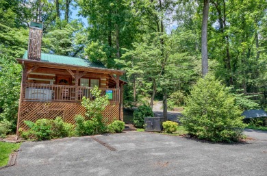 Lake House Cuddle Inn Your Cozy Couple's Hideaway Awaits!, , on West Prong Little Pigeon River - Gatlinburg in Tennessee - Lakehouse Vacation Rental - Lake Home for rent on LakeHouseVacations.com