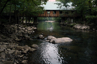 Lake House Find Your Inner Peace (and a Hot Tub!) in Gatlinburg Tranquil Cabin, , on West Prong Little Pigeon River - Gatlinburg in Tennessee - Lakehouse Vacation Rental - Lake Home for rent on LakeHouseVacations.com