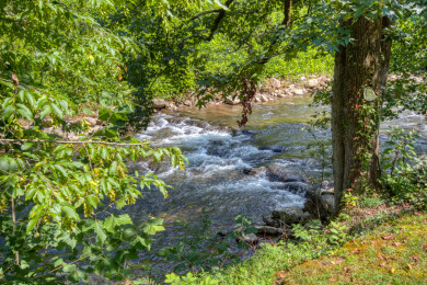 Lake House River Dream A Reel Catch for Your Gatlinburg Escape!, , on West Prong Little Pigeon River - Gatlinburg in Tennessee - Lakehouse Vacation Rental - Lake Home for rent on LakeHouseVacations.com