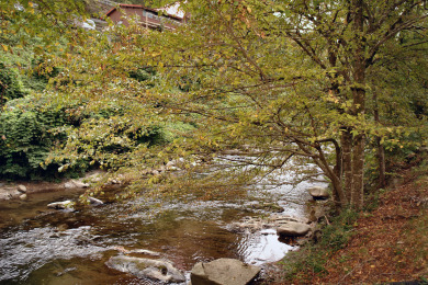 Lake House River Dream A Reel Catch for Your Gatlinburg Escape!, , on West Prong Little Pigeon River - Gatlinburg in Tennessee - Lakehouse Vacation Rental - Lake Home for rent on LakeHouseVacations.com