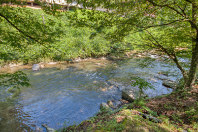 Lake House River Dream A Reel Catch for Your Gatlinburg Escape!, , on West Prong Little Pigeon River - Gatlinburg in Tennessee - Lakehouse Vacation Rental - Lake Home for rent on LakeHouseVacations.com