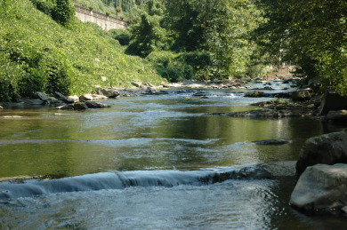 Lake House Beary Special Cabin A Paw-some Gatlinburg Riverfront Retreat, , on West Prong Little Pigeon River - Gatlinburg in Tennessee - Lakehouse Vacation Rental - Lake Home for rent on LakeHouseVacations.com