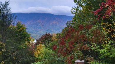 Lake House Private Gatlinburg Cabin with a Spectacular Mountain View & Game Room!, , on West Prong Little Pigeon River - Gatlinburg in Tennessee - Lakehouse Vacation Rental - Lake Home for rent on LakeHouseVacations.com