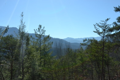 Lake House A Grand View Lodge Your Majestic Mountain Escape with Unforgettable Views!, , on West Prong Little Pigeon River - Gatlinburg in Tennessee - Lakehouse Vacation Rental - Lake Home for rent on LakeHouseVacations.com