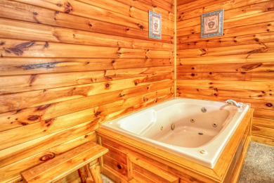 Lake House Awesome Views Your Gatlinburg Getaway with Jaw-Dropping Mountain Vistas!, , on West Prong Little Pigeon River - Gatlinburg in Tennessee - Lakehouse Vacation Rental - Lake Home for rent on LakeHouseVacations.com