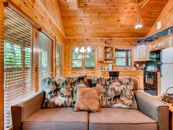 Lake House Beautiful Private 1 Bedroom Cabin that sleeps 4 in beautiful Wears Valley!, , on Douglas Lake in Tennessee - Lakehouse Vacation Rental - Lake Home for rent on LakeHouseVacations.com