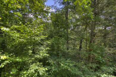  Ad# 21600 lake house for rent on LakeHouseVacations.com, lakehouse, lake home rental, lakehome for rent, vacation, holiday, lodging, lake