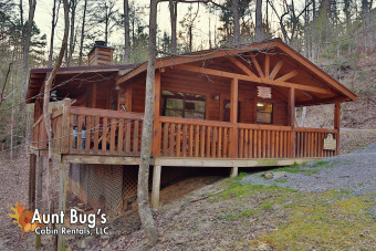 Lake House 1 Bedroom Secluded Cabin Off Birds CreekDollywood Lane Pigeon Forge TN, , on Douglas Lake in Tennessee - Lakehouse Vacation Rental - Lake Home for rent on LakeHouseVacations.com