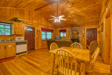 Lake House 1 Bedroom Secluded Cabin Off Birds CreekDollywood Lane Pigeon Forge TN, , on  in Tennessee - Lakehouse Vacation Rental - Lake Home for rent on LakeHouseVacations.com