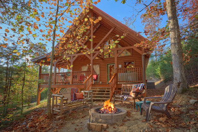 Lake House Wet Bear Paws Have a Paw-sitively Great Smoky Mountain Getaway!, , on Douglas Lake in Tennessee - Lakehouse Vacation Rental - Lake Home for rent on LakeHouseVacations.com