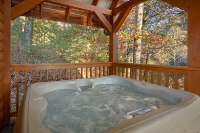 Lake House Wet Bear Paws Have a Paw-sitively Great Smoky Mountain Getaway!, , on Douglas Lake in Tennessee - Lakehouse Vacation Rental - Lake Home for rent on LakeHouseVacations.com