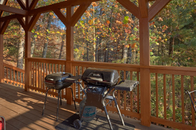 Lake House Wet Bear Paws Have a Paw-sitively Great Smoky Mountain Getaway!, , on Douglas Lake in Tennessee - Lakehouse Vacation Rental - Lake Home for rent on LakeHouseVacations.com