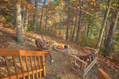 Lake House Wet Bear Paws Have a Paw-sitively Great Smoky Mountain Getaway!, , on Douglas Lake in Tennessee - Lakehouse Vacation Rental - Lake Home for rent on LakeHouseVacations.com