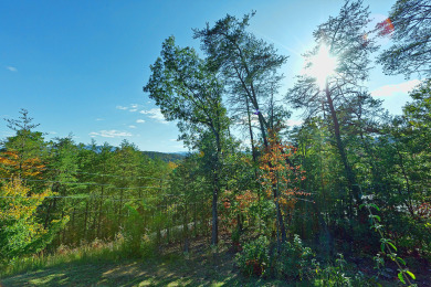Lake House Have a Gobble-ly Wild Time in the Smoky Mountains!, , on Douglas Lake in Tennessee - Lakehouse Vacation Rental - Lake Home for rent on LakeHouseVacations.com