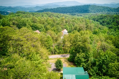 Lake House Have a Gobble-ly Wild Time in the Smoky Mountains!, , on Douglas Lake in Tennessee - Lakehouse Vacation Rental - Lake Home for rent on LakeHouseVacations.com