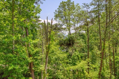 Lake House Have a Gobble-ly Wild Time in the Smoky Mountains!, , on Douglas Lake in Tennessee - Lakehouse Vacation Rental - Lake Home for rent on LakeHouseVacations.com