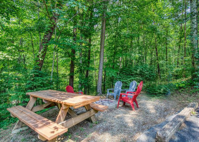 Lake House Have a Gobble-ly Wild Time in the Smoky Mountains!, , on Douglas Lake in Tennessee - Lakehouse Vacation Rental - Lake Home for rent on LakeHouseVacations.com
