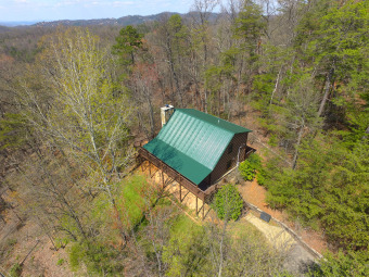 Lake House Secluded Gatlinburg Log Cabin with Incredible Views & Video Arcade Game Room!, , on Douglas Lake in Tennessee - Lakehouse Vacation Rental - Lake Home for rent on LakeHouseVacations.com