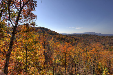 Lake House Morning View is a two story, one bedroom log cabin with a spectacular view!, , on Douglas Lake in Tennessee - Lakehouse Vacation Rental - Lake Home for rent on LakeHouseVacations.com
