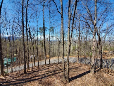 Lake House A Secluded Retreat Your Tranquil Smoky Mountain Hideaway!, , on West Prong Little Pigeon River in Tennessee - Lakehouse Vacation Rental - Lake Home for rent on LakeHouseVacations.com