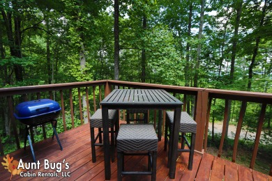 Lake House A Secluded Retreat Your Tranquil Smoky Mountain Hideaway!, , on West Prong Little Pigeon River in Tennessee - Lakehouse Vacation Rental - Lake Home for rent on LakeHouseVacations.com