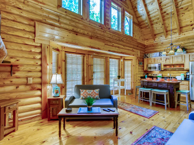 Lake House A River Adventure Dive into Delight at Your Riverside Retreat!, , on West Prong Little Pigeon River in Tennessee - Lakehouse Vacation Rental - Lake Home for rent on LakeHouseVacations.com