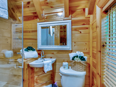 Lake House A River Adventure Dive into Delight at Your Riverside Retreat!, , on West Prong Little Pigeon River in Tennessee - Lakehouse Vacation Rental - Lake Home for rent on LakeHouseVacations.com