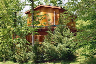 Lake House Skinny Dippin' Dive into Your Dream Smoky Mountain Vacation!, , on West Prong Little Pigeon River in Tennessee - Lakehouse Vacation Rental - Lake Home for rent on LakeHouseVacations.com