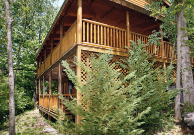 Lake House Skinny Dippin' Dive into Your Dream Smoky Mountain Vacation!, , on West Prong Little Pigeon River in Tennessee - Lakehouse Vacation Rental - Lake Home for rent on LakeHouseVacations.com