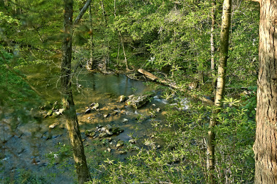 Lake House Whispering Waters Hear the Call of Relaxation in the Smokies!, , on West Prong Little Pigeon River in Tennessee - Lakehouse Vacation Rental - Lake Home for rent on LakeHouseVacations.com