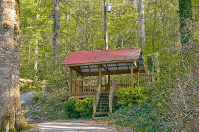 Lake House Whispering Waters Hear the Call of Relaxation in the Smokies!, , on West Prong Little Pigeon River in Tennessee - Lakehouse Vacation Rental - Lake Home for rent on LakeHouseVacations.com