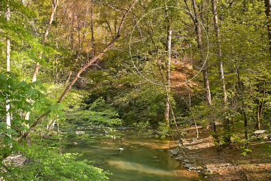 Lake House Whispering Waters Hear the Call of Relaxation in the Smokies!, , on West Prong Little Pigeon River in Tennessee - Lakehouse Vacation Rental - Lake Home for rent on LakeHouseVacations.com
