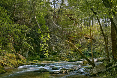 Lake House Whispering Waters Hear the Call of Relaxation in the Smokies!, , on West Prong Little Pigeon River in Tennessee - Lakehouse Vacation Rental - Lake Home for rent on LakeHouseVacations.com