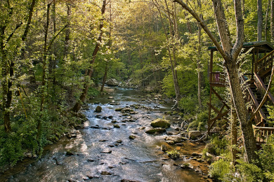 Lake House Whispering Waters Hear the Call of Relaxation in the Smokies!, , on West Prong Little Pigeon River in Tennessee - Lakehouse Vacation Rental - Lake Home for rent on LakeHouseVacations.com