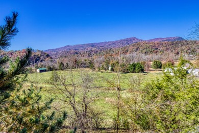 Lake House Farmers Retreat Reap the Rewards of a Relaxing Smoky Mountain Getaway!, , on West Prong Little Pigeon River in Tennessee - Lakehouse Vacation Rental - Lake Home for rent on LakeHouseVacations.com