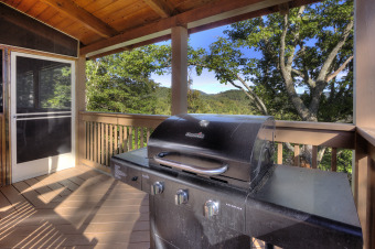 Lake House Amazing View private Log cabin! Enjoy Swimming pool access, Pool table, Games, , on Douglas Lake in Tennessee - Lakehouse Vacation Rental - Lake Home for rent on LakeHouseVacations.com