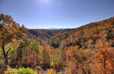 Lake House Bearview Heights Get a Bear's-Eye View of Your Best Vacation Yet!, , on  in Tennessee - Lakehouse Vacation Rental - Lake Home for rent on LakeHouseVacations.com