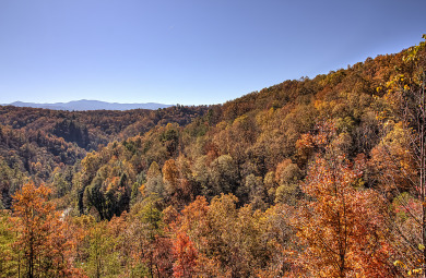 Lake House Bearview Heights Get a Bear's-Eye View of Your Best Vacation Yet!, , on  in Tennessee - Lakehouse Vacation Rental - Lake Home for rent on LakeHouseVacations.com