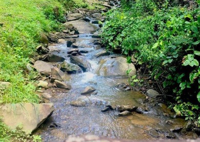 Lake House Mountain Comfort - Townhome with Hot Tub & Resort Perks!, , on West Prong Little Pigeon River - Gatlinburg in Tennessee - Lakehouse Vacation Rental - Lake Home for rent on LakeHouseVacations.com
