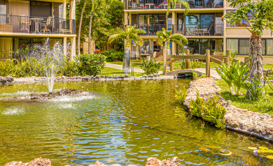 Lake House OCEAN and POOL View, remodeled 2 bdrm condo with AC - PAPAKEA K406, , on Maui - Lahaina in Hawaii - Lakehouse Vacation Rental - Lake Home for rent on LakeHouseVacations.com