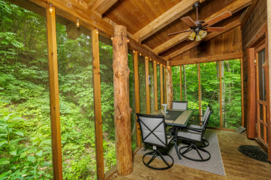 Lake House Park Paradise Your Smoky Mountain Sanctuary is Calling!, , on Douglas Lake in Tennessee - Lakehouse Vacation Rental - Lake Home for rent on LakeHouseVacations.com