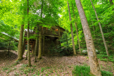 Lake House Park Paradise Your Smoky Mountain Sanctuary is Calling!, , on Douglas Lake in Tennessee - Lakehouse Vacation Rental - Lake Home for rent on LakeHouseVacations.com