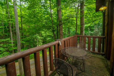 Lake House Park Paradise Your Smoky Mountain Sanctuary is Calling!, , on Douglas Lake in Tennessee - Lakehouse Vacation Rental - Lake Home for rent on LakeHouseVacations.com