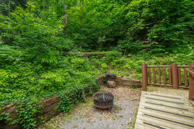 Lake House Park Paradise Your Smoky Mountain Sanctuary is Calling!, , on Douglas Lake in Tennessee - Lakehouse Vacation Rental - Lake Home for rent on LakeHouseVacations.com